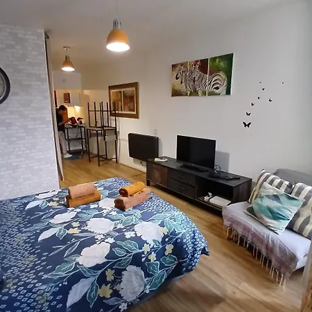 Appartement Rénové Quartier Historique ,centre *